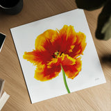 Orange Tulip by Deborah Revell. Shown as a detailed flat fine art print, highlighting archival giclee quality. Available as an archival giclee rolled canvas, fine art paper, or poster print. SKU 104466a.