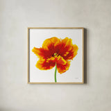 Orange Tulip by Deborah Revell. Shown in a natural wood glass frame for a timeless modern aesthetic. Available as an archival giclee rolled canvas, fine art paper, or poster print. SKU 104466a.
