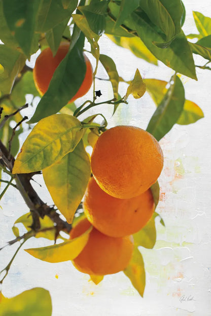 Oranges I by Deborah Revell. SKU 94128h. Archival Giclee Fine art print for wall decor.