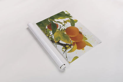 Oranges I by Deborah Revell. shown as a rolled paper print. Available as archival giclee rolled canvas, fine art paper, or poster print. SKU 94128h.