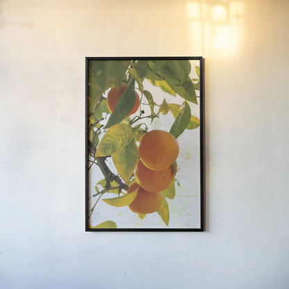 Oranges I by Deborah Revell. shown as a paper print in a black flame. Available as a archival giclee rolled canvas, fine art paper, or poster print. SKU 94128h.