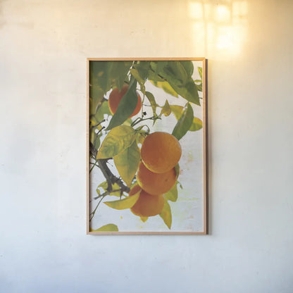 Oranges I by Deborah Revell. shown as a paper print in a natural frame. Available as a archival giclee rolled canvas, fine art paper, or poster print. SKU 94128h.