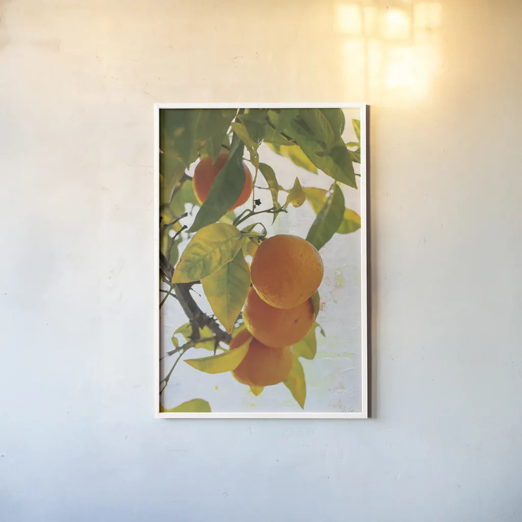 Oranges I by Deborah Revell. shown as a paper print in a white frame. Available as a archival giclee rolled canvas, fine art paper, or poster print. SKU 94128h.