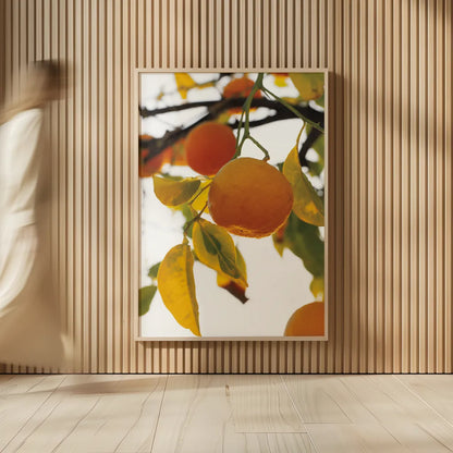Oranges II by Deborah Revell. shown as over sized large wall art. Available as an archival giclee rolled canvas, fine art paper, or poster print. SKU 94129h.