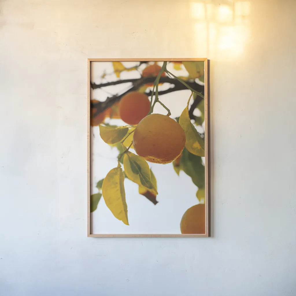Oranges II by Deborah Revell. shown as a paper print in a natural frame. Available as a archival giclee rolled canvas, fine art paper, or poster print. SKU 94129h.