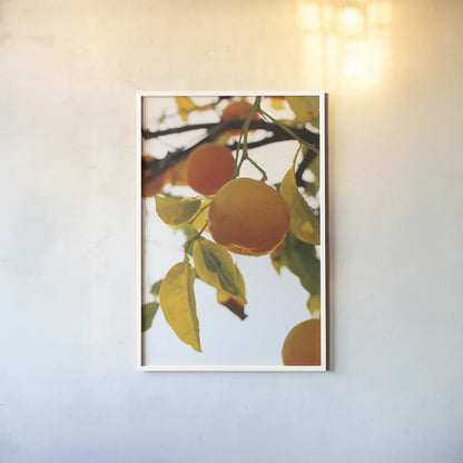 Oranges II by Deborah Revell. shown as a paper print in a white frame. Available as a archival giclee rolled canvas, fine art paper, or poster print. SKU 94129h.