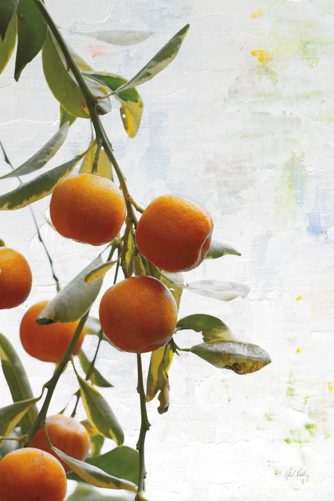 Oranges III by Deborah Revell. SKU 94130h. Archival Giclee Fine art print for wall decor.