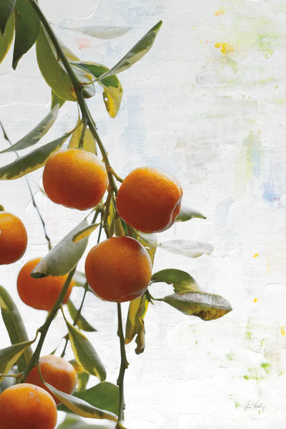 Oranges III by Deborah Revell. SKU 94130h. Archival Giclee Fine art print for wall decor.