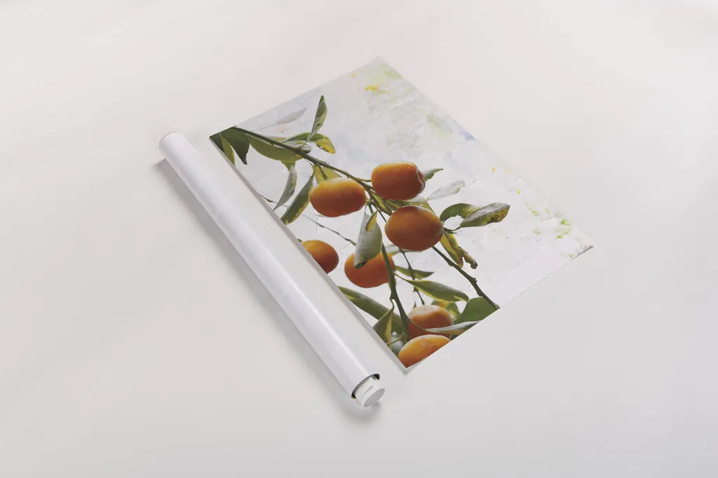 Oranges III by Deborah Revell. shown as a rolled paper print. Available as archival giclee rolled canvas, fine art paper, or poster print. SKU 94130h.