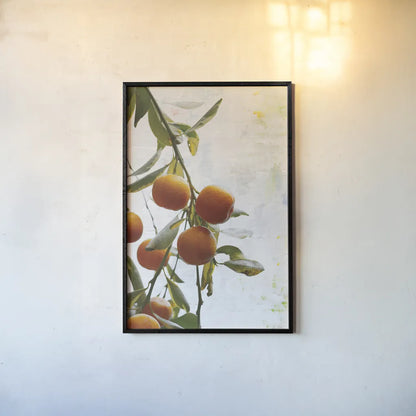 Oranges III by Deborah Revell. shown as a paper print in a black flame. Available as a archival giclee rolled canvas, fine art paper, or poster print. SKU 94130h.