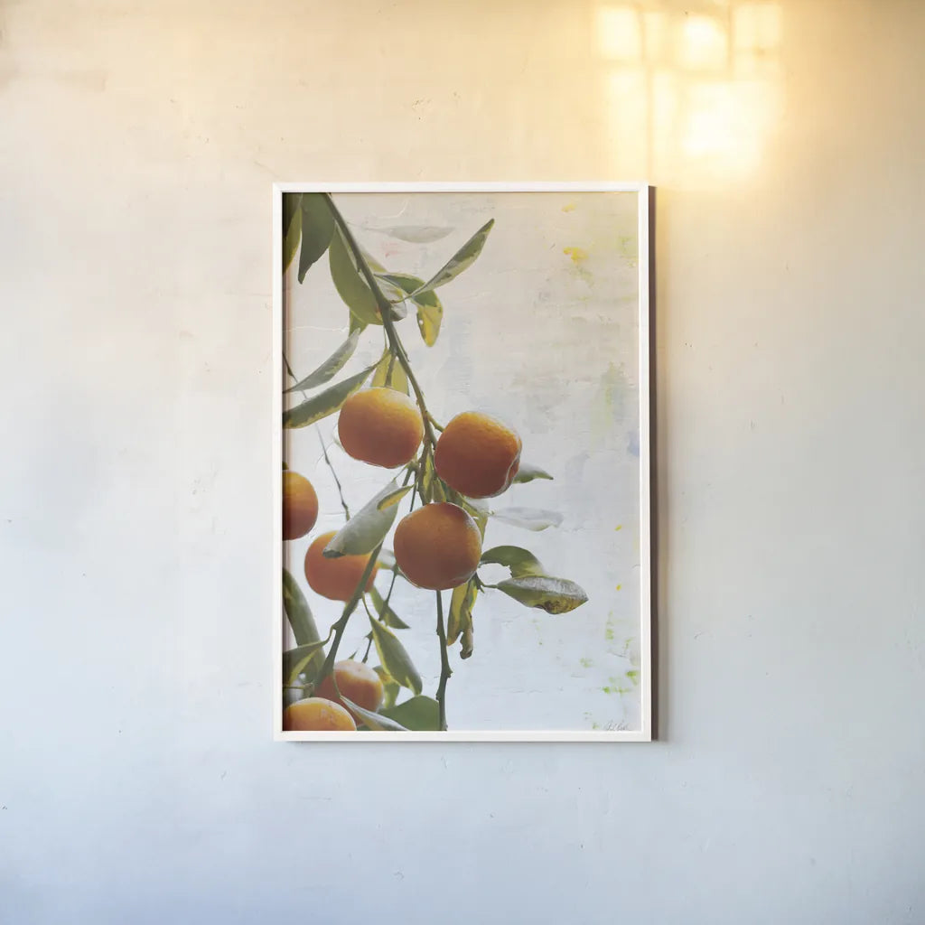 Oranges III by Deborah Revell. shown as a paper print in a white frame. Available as a archival giclee rolled canvas, fine art paper, or poster print. SKU 94130h.