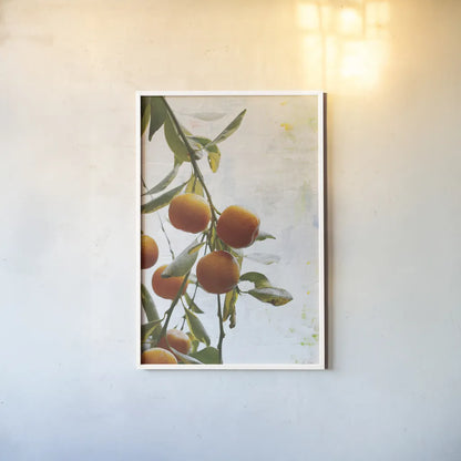 Oranges III by Deborah Revell. shown as a paper print in a white frame. Available as a archival giclee rolled canvas, fine art paper, or poster print. SKU 94130h.