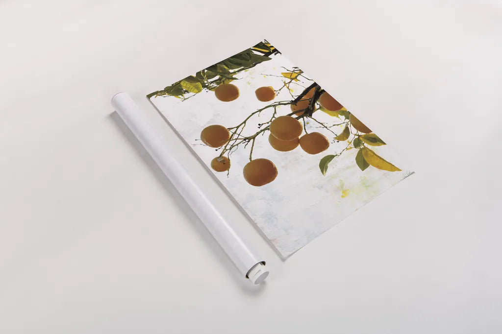 Oranges IV by Deborah Revell. shown as a rolled paper print. Available as archival giclee rolled canvas, fine art paper, or poster print. SKU 94131h.