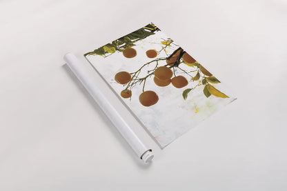 Oranges IV by Deborah Revell. shown as a rolled paper print. Available as archival giclee rolled canvas, fine art paper, or poster print. SKU 94131h.