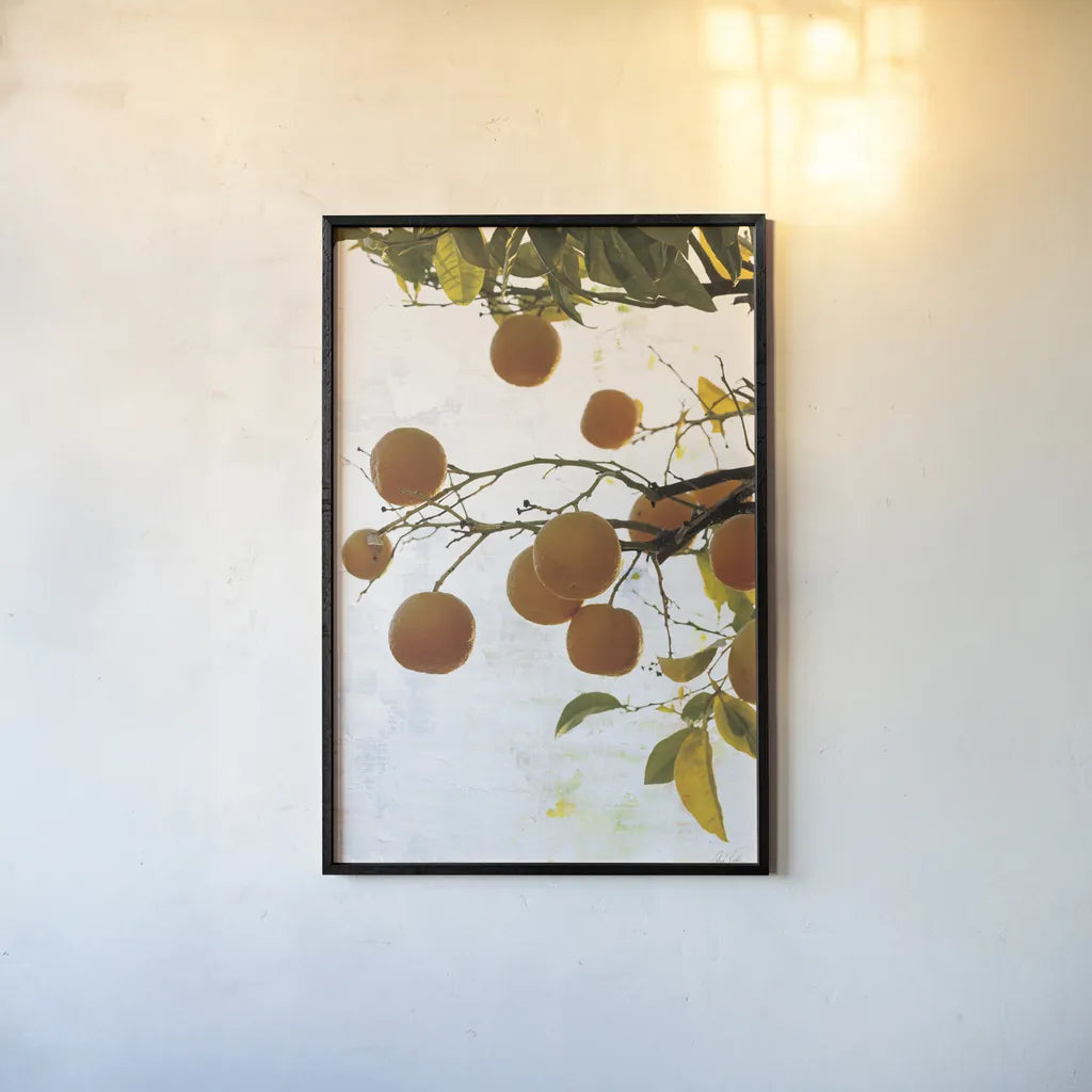 Oranges IV by Deborah Revell. shown as a paper print in a black flame. Available as a archival giclee rolled canvas, fine art paper, or poster print. SKU 94131h.