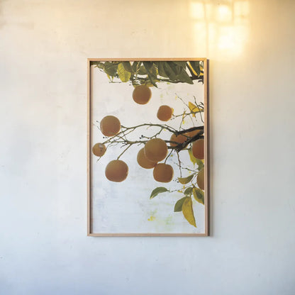 Oranges IV by Deborah Revell. shown as a paper print in a natural frame. Available as a archival giclee rolled canvas, fine art paper, or poster print. SKU 94131h.