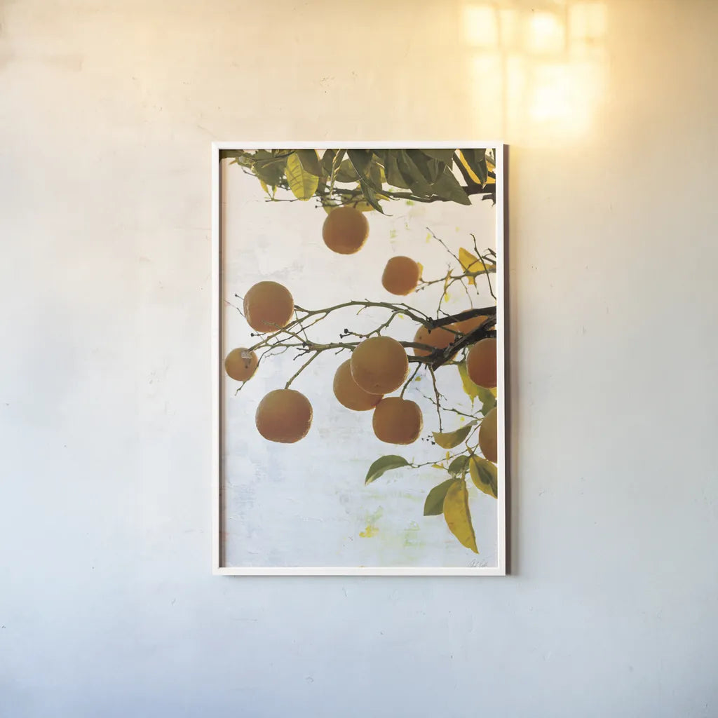 Oranges IV by Deborah Revell. shown as a paper print in a white frame. Available as a archival giclee rolled canvas, fine art paper, or poster print. SKU 94131h.