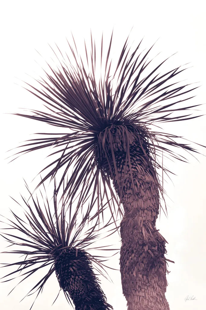 Palm by Deborah Revell. SKU 94377h. Archival Giclee Fine art print for wall decor.