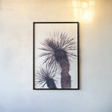 Palm by Deborah Revell. shown as a paper print in a black flame. Available as a archival giclee rolled canvas, fine art paper, or poster print. SKU 94377h.