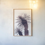 Palm by Deborah Revell. shown as a paper print in a natural frame. Available as a archival giclee rolled canvas, fine art paper, or poster print. SKU 94377h.