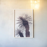 Palm by Deborah Revell. shown as a paper print in a white frame. Available as a archival giclee rolled canvas, fine art paper, or poster print. SKU 94377h.