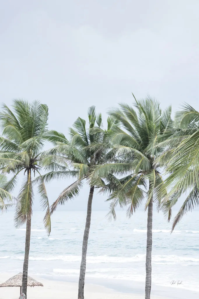 Palm Bay by Deborah Revell. SKU 104900h. Archival Giclee Fine art print for wall decor.