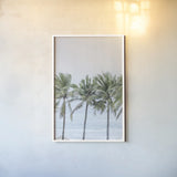 Palm Bay by Deborah Revell. shown as a paper print in a white frame. Available as a archival giclee rolled canvas, fine art paper, or poster print. SKU 104900h.