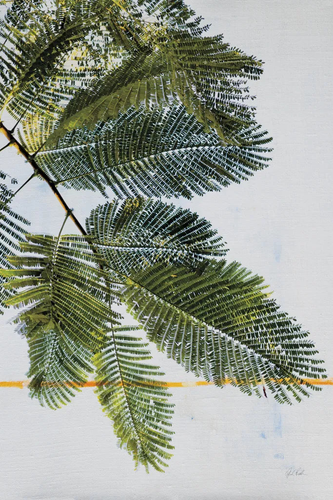 Palm Branch by Deborah Revell. SKU 91855h. Archival Giclee Fine art print for wall decor.