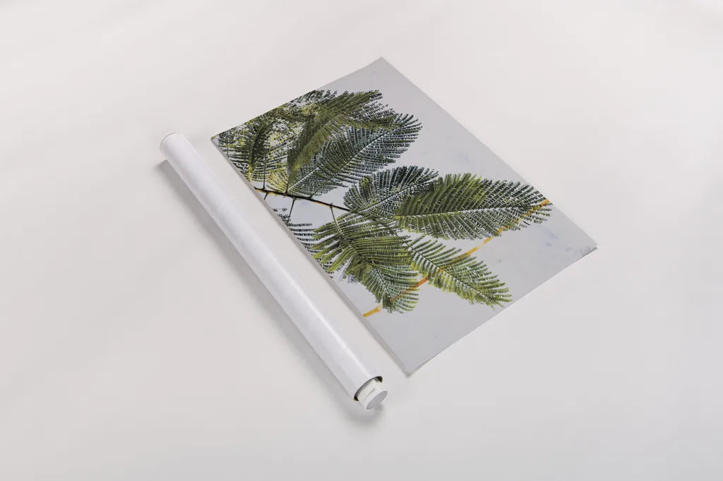 Palm Branch by Deborah Revell. shown as a rolled paper print. Available as archival giclee rolled canvas, fine art paper, or poster print. SKU 91855h.