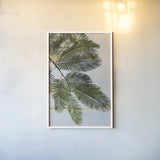 Palm Branch by Deborah Revell. shown as a paper print in a white frame. Available as a archival giclee rolled canvas, fine art paper, or poster print. SKU 91855h.