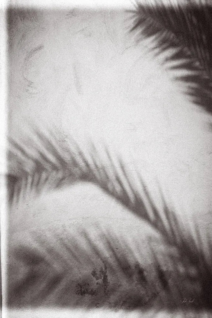 Palm Shadow Afternoon I by Deborah Revell. SKU 94352h. Archival Giclee Fine art print for wall decor.