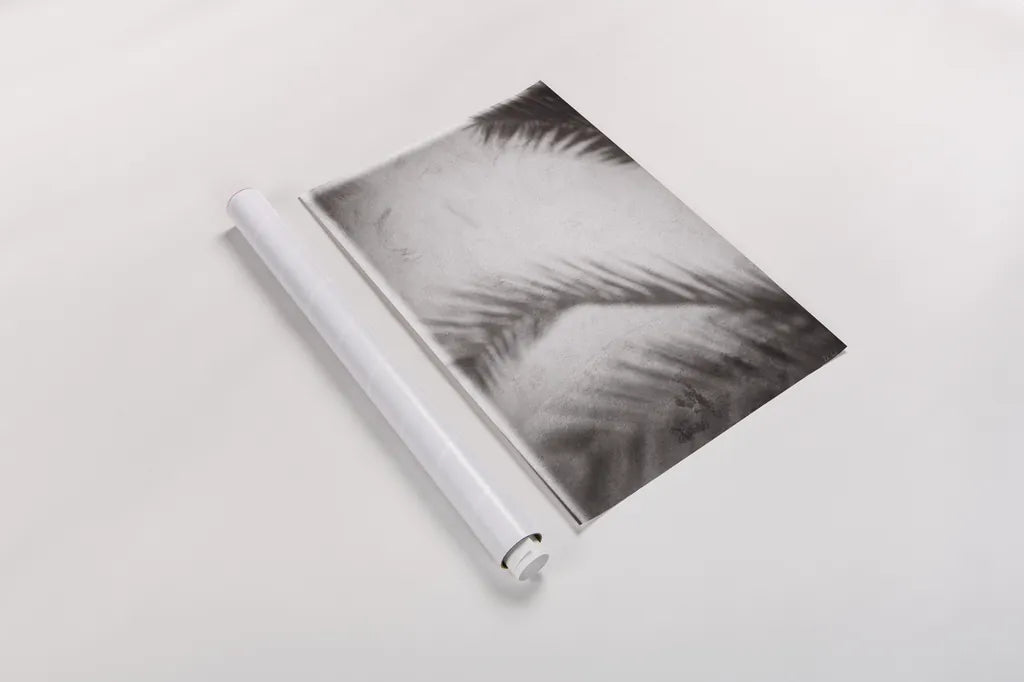 Palm Shadow Afternoon I by Deborah Revell. shown as a rolled paper print. Available as archival giclee rolled canvas, fine art paper, or poster print. SKU 94352h.