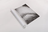 Palm Shadow Afternoon I by Deborah Revell. shown as a rolled paper print. Available as archival giclee rolled canvas, fine art paper, or poster print. SKU 94352h.