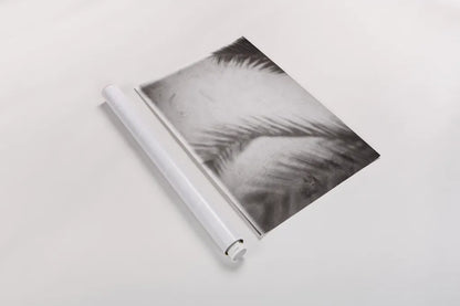 Palm Shadow Afternoon I by Deborah Revell. shown as a rolled paper print. Available as archival giclee rolled canvas, fine art paper, or poster print. SKU 94352h.