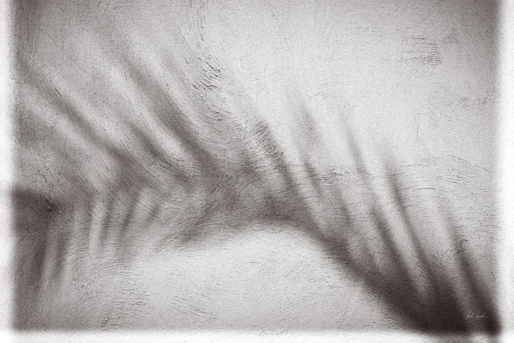 Palm Shadow Afternoon II by Deborah Revell. SKU 94353i. Archival Giclee Fine art print for wall decor.