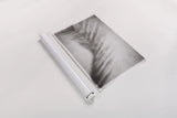 Palm Shadow Afternoon II by Deborah Revell. shown as a rolled paper print. Available as archival giclee rolled canvas, fine art paper, or poster print. SKU 94353i.