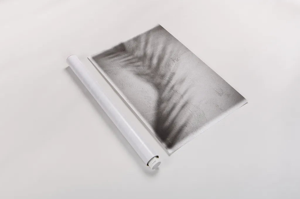 Palm Shadow Afternoon II by Deborah Revell. shown as a rolled paper print. Available as archival giclee rolled canvas, fine art paper, or poster print. SKU 94353i.