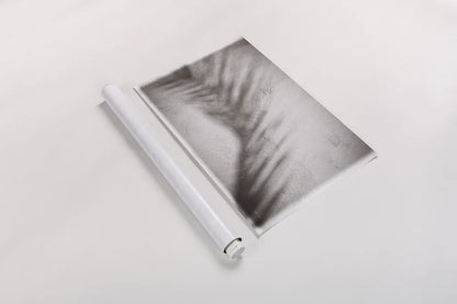 Palm Shadow Afternoon II by Deborah Revell. shown as a rolled paper print. Available as archival giclee rolled canvas, fine art paper, or poster print. SKU 94353i.