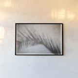 Palm Shadow Afternoon II by Deborah Revell. shown as a paper print in a black flame. Available as a archival giclee rolled canvas, fine art paper, or poster print. SKU 94353i.
