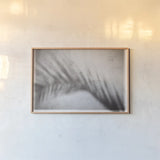 Palm Shadow Afternoon II by Deborah Revell. shown as a paper print in a natural frame. Available as a archival giclee rolled canvas, fine art paper, or poster print. SKU 94353i.