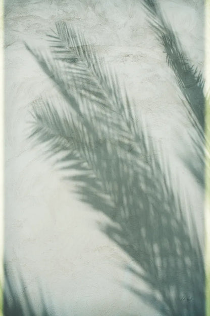 Palm Shadow I by Deborah Revell. SKU 94354h. Archival Giclee Fine art print for wall decor.