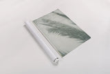 Palm Shadow I by Deborah Revell. shown as a rolled paper print. Available as archival giclee rolled canvas, fine art paper, or poster print. SKU 94354h.