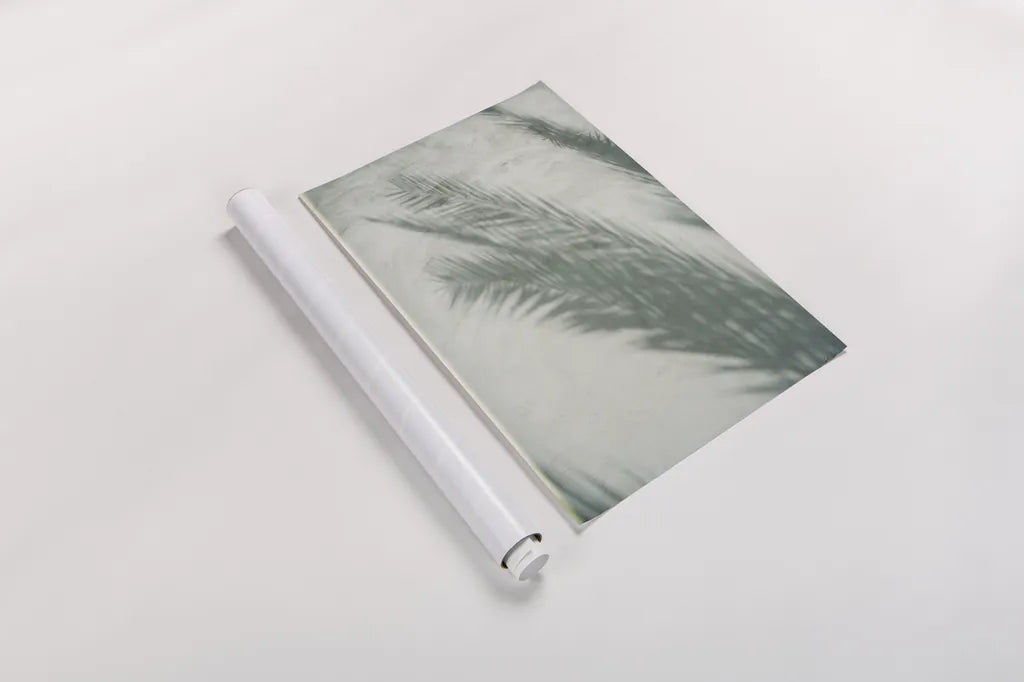 Palm Shadow I by Deborah Revell. shown as a rolled paper print. Available as archival giclee rolled canvas, fine art paper, or poster print. SKU 94354h.