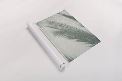 Palm Shadow I by Deborah Revell. shown as a rolled paper print. Available as archival giclee rolled canvas, fine art paper, or poster print. SKU 94354h.