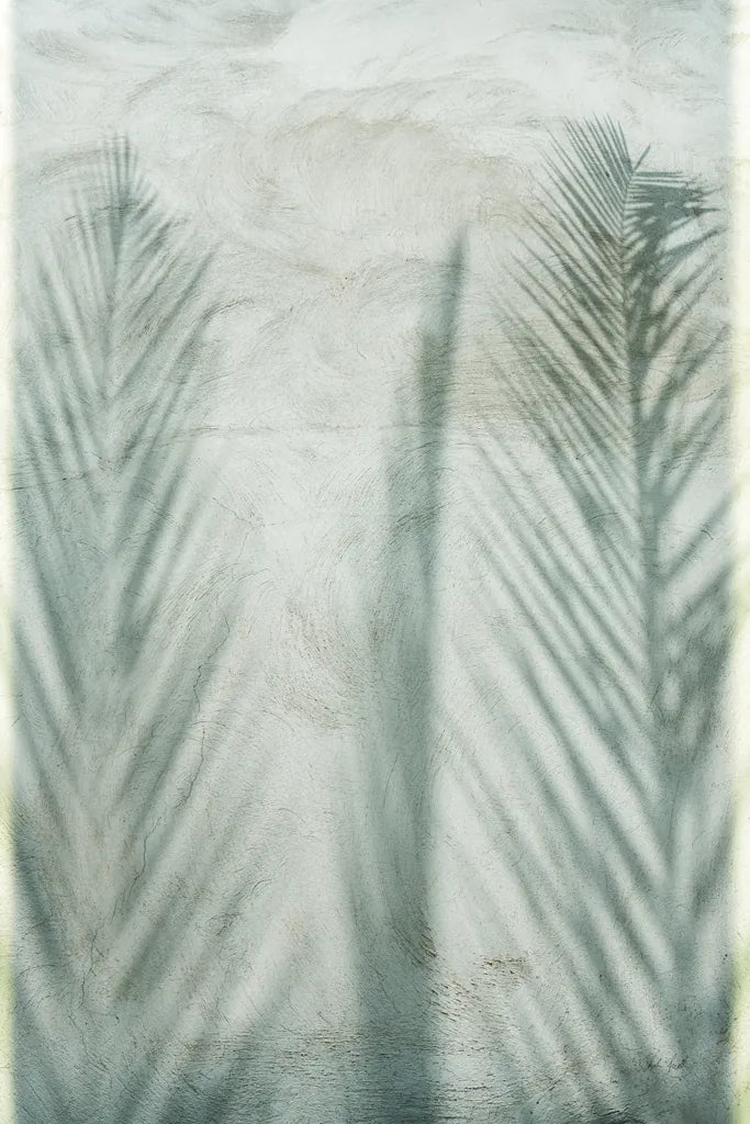 Palm Shadow II by Deborah Revell. SKU 94355h. Archival Giclee Fine art print for wall decor.