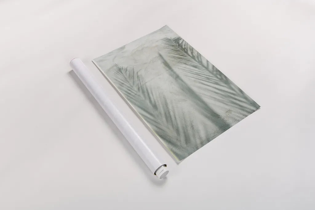 Palm Shadow II by Deborah Revell. shown as a rolled paper print. Available as archival giclee rolled canvas, fine art paper, or poster print. SKU 94355h.