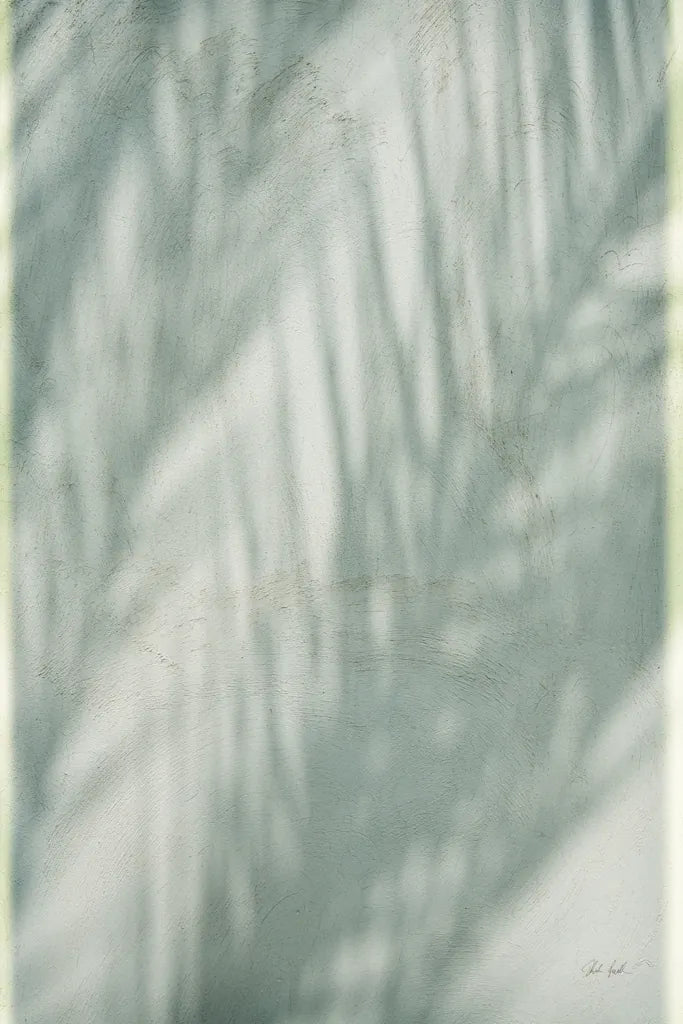 Palm Shadow III by Deborah Revell. SKU 94356h. Archival Giclee Fine art print for wall decor.