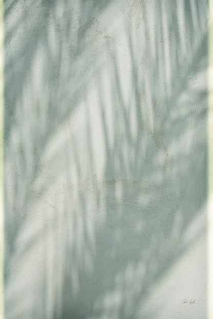 Palm Shadow III by Deborah Revell. SKU 94356h. Archival Giclee Fine art print for wall decor.