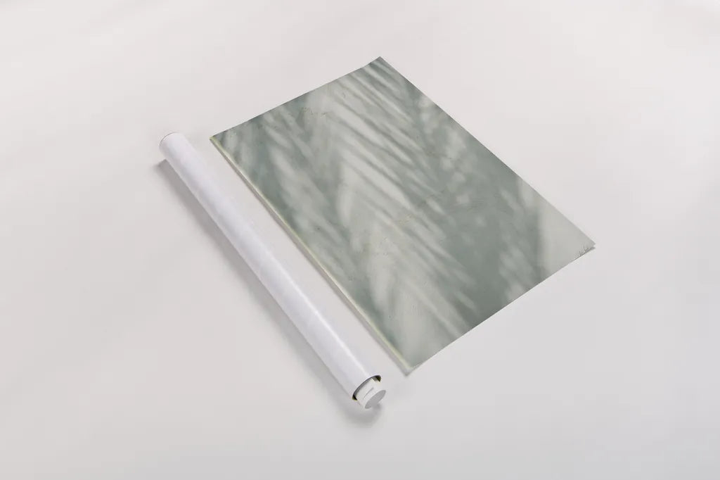 Palm Shadow III by Deborah Revell. shown as a rolled paper print. Available as archival giclee rolled canvas, fine art paper, or poster print. SKU 94356h.