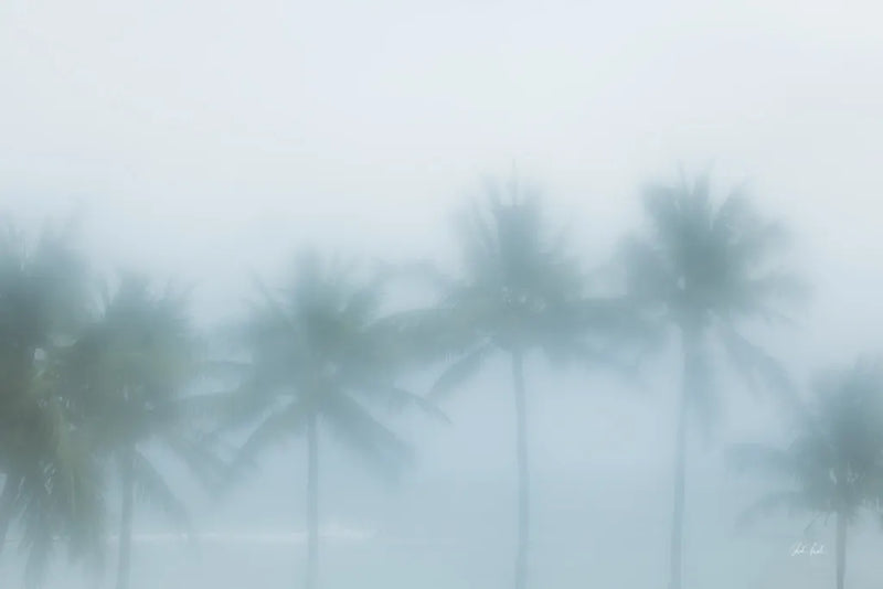Palms in the Mist II by Deborah Revell. SKU 104907i. Archival Giclee Fine art print for wall decor.